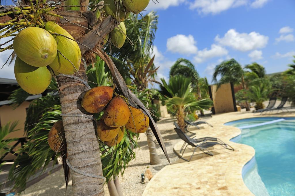 Bridanda Boutique Resort Kralendijk  Luaran gambar